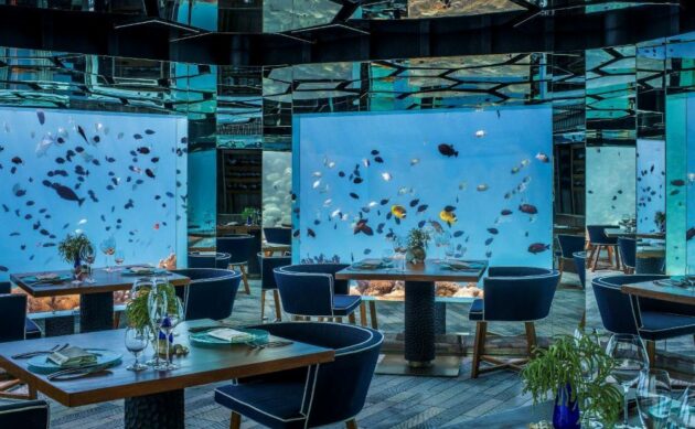 05 Underwater Restaurants in the Maldives & What Guests Say About It