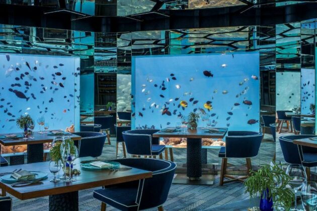 05 Underwater Restaurants in the Maldives & What Guests Say About It