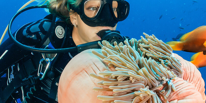 Alifu Dhaalu Atoll - Atolls Page