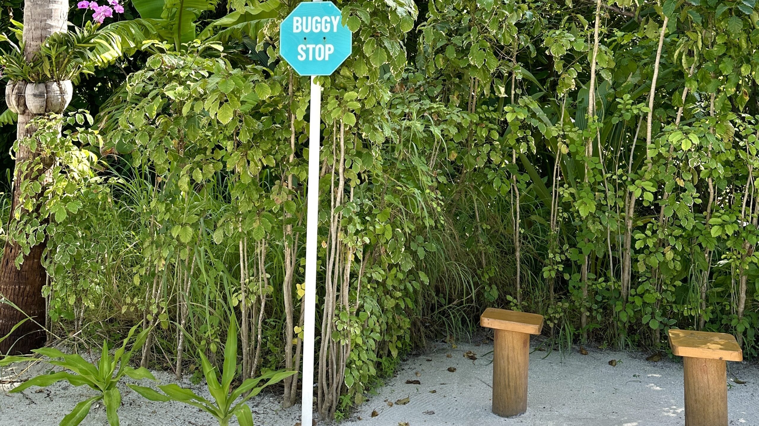 Buggy Stop
