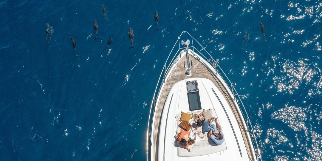 Yacht Dreams, Nautilus Reality